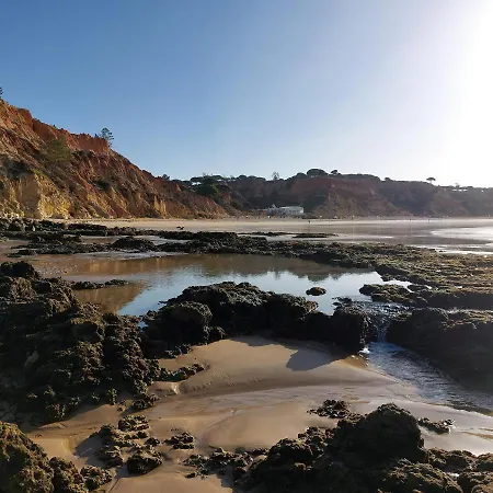 Paradise In Olhos D'agua 阿尔布费拉